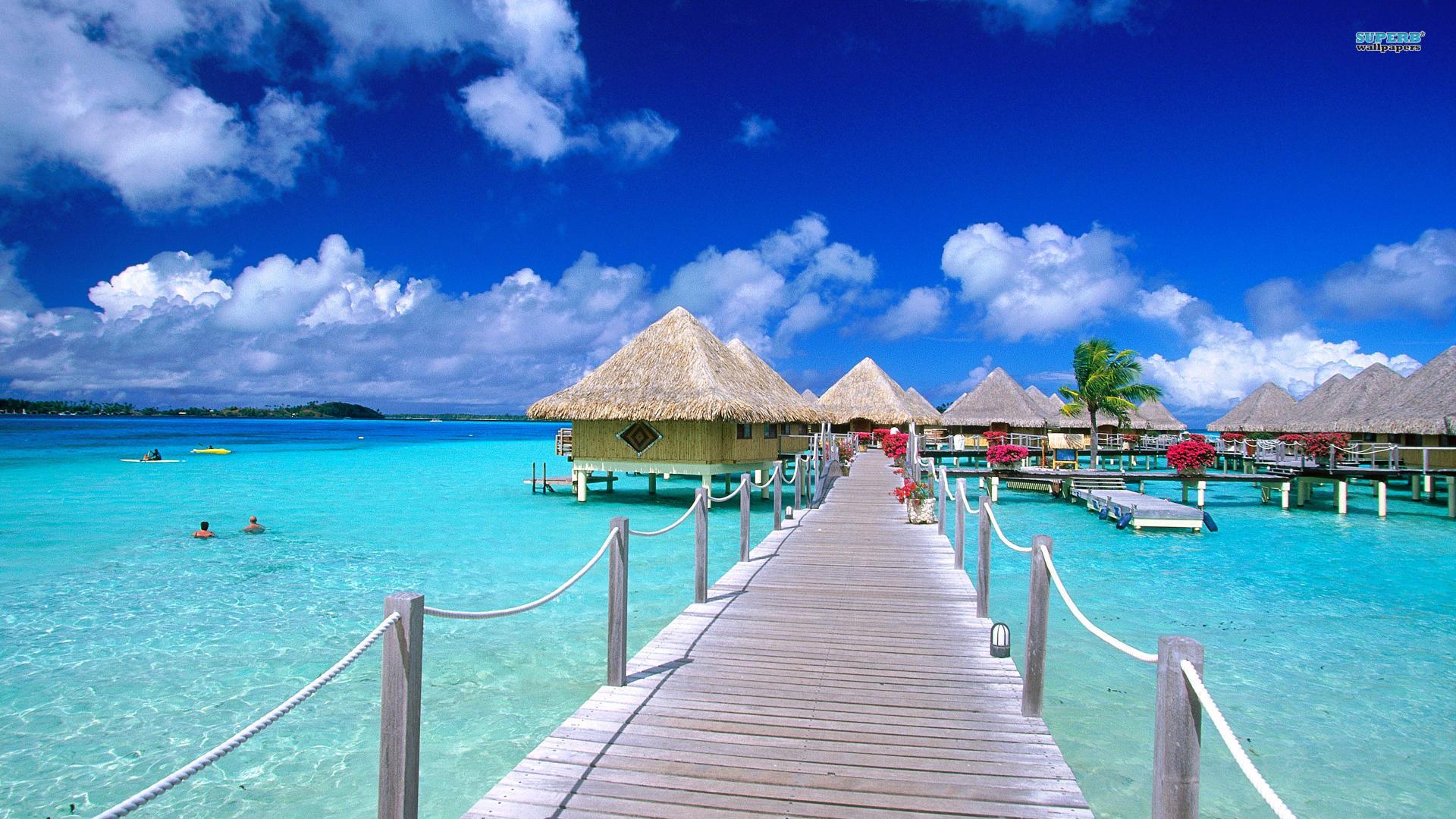 bora bora fond d'écran hd,jetée,ciel,caraïbes,vacances,mer