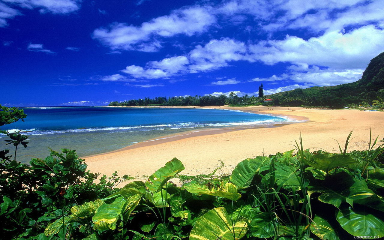 hawaii strandtapete,gewässer,natürliche landschaft,strand,küste,natur