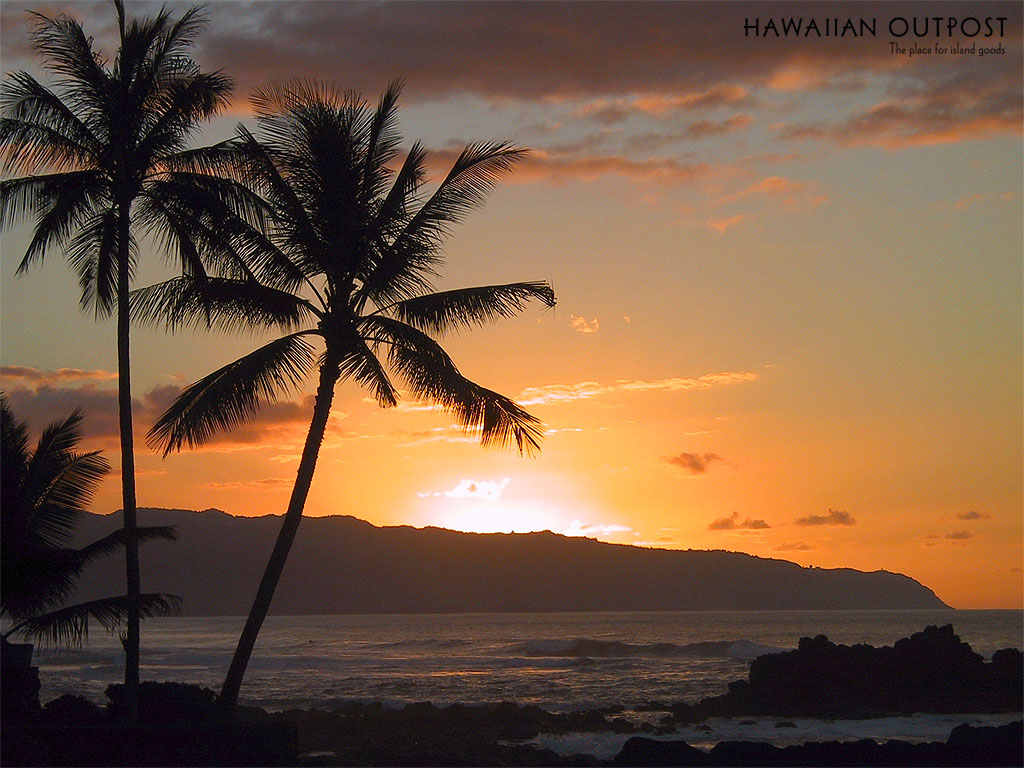 하와이 해변 벽지,하늘,일몰,자연,나무,야자수