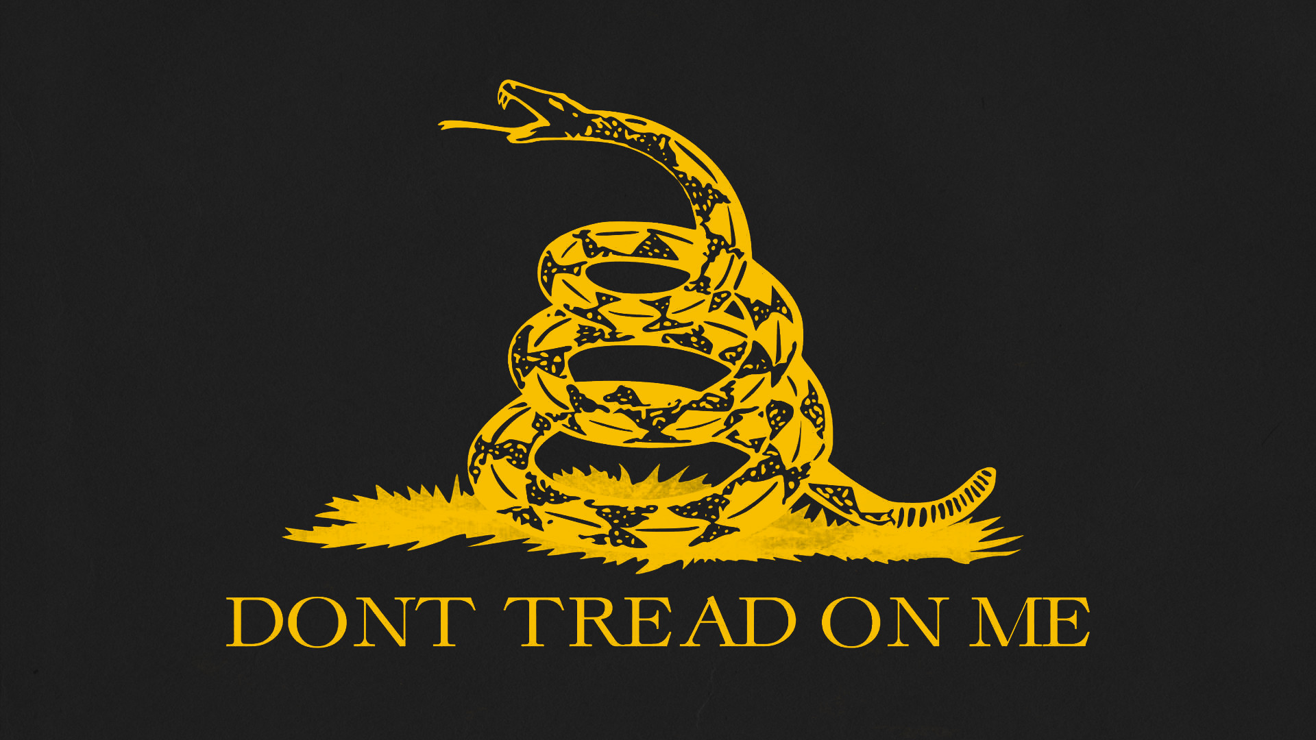 Noon on me. Либертарианство don't Tread on me. Либертарианская змея. Либертарианский флаг. Гадсденовский флаг.