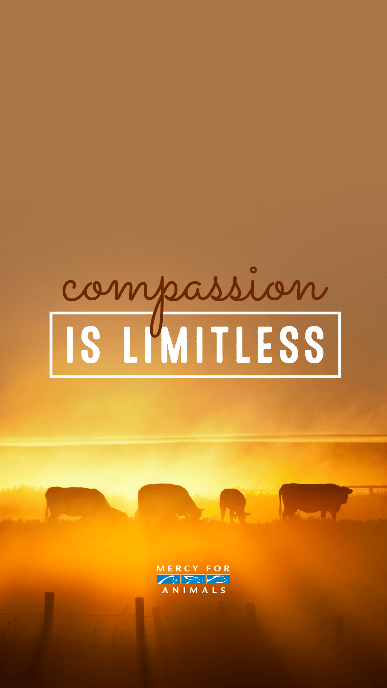 vegane iphone wallpaper,text,schriftart,himmel,morgen,gelb