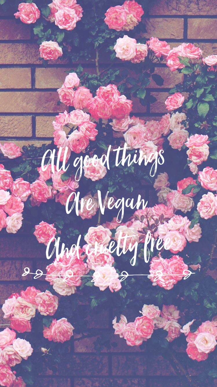 vegan iphone wallpaper,pink,flower,garden roses,rose,plant