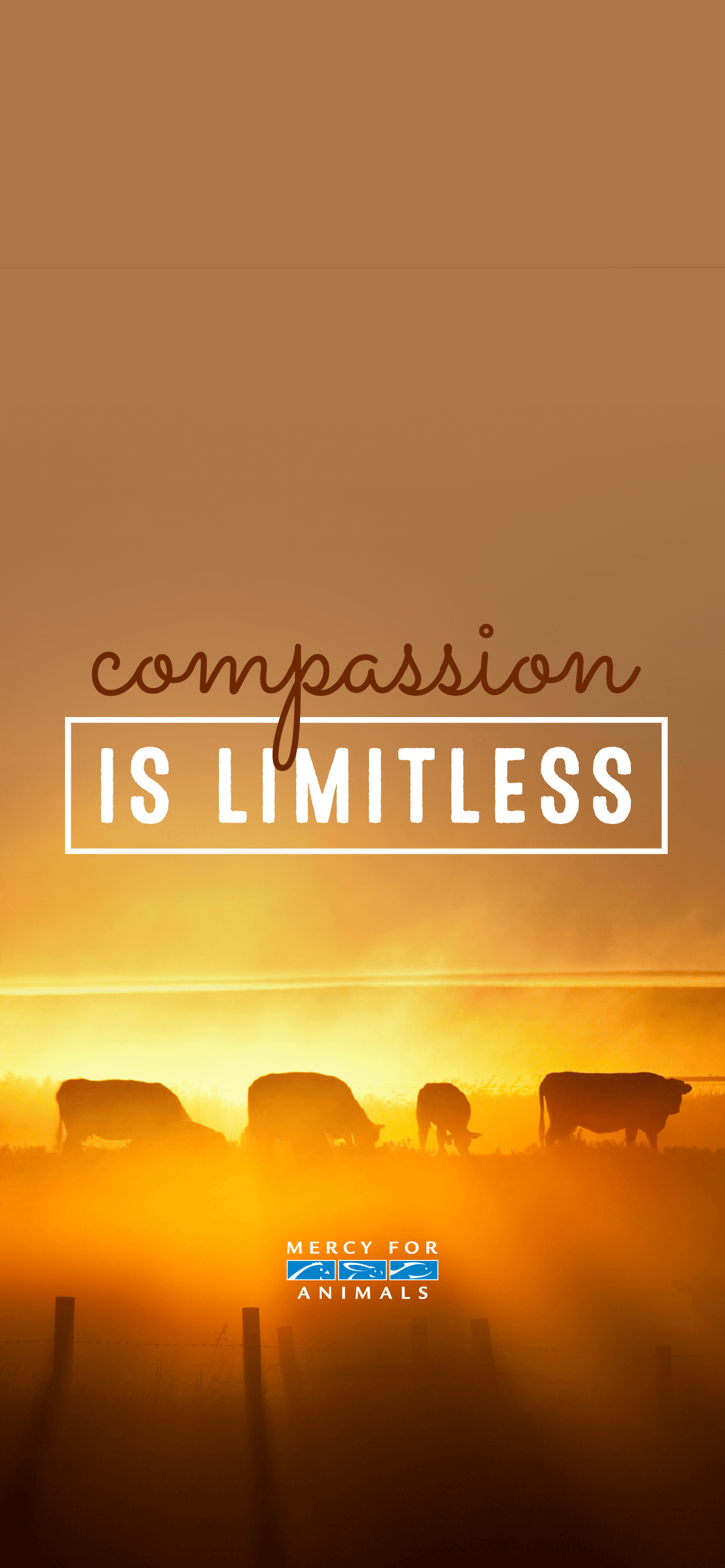 vegane iphone wallpaper,schriftart,text,himmel,morgen,gelb