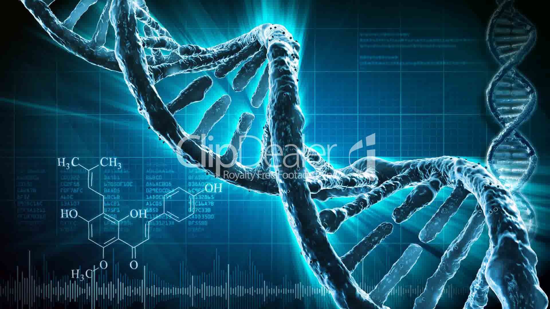 computer science engineering hd wallpapers,blue,organism,human,graphic design,design