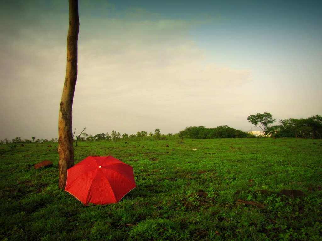 love nature wallpaper,nature,red,grassland,green,natural landscape