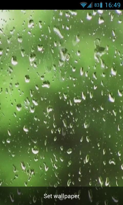 빗방울 라이브 배경 화면 hd,초록,물,하락,이슬,이슬비