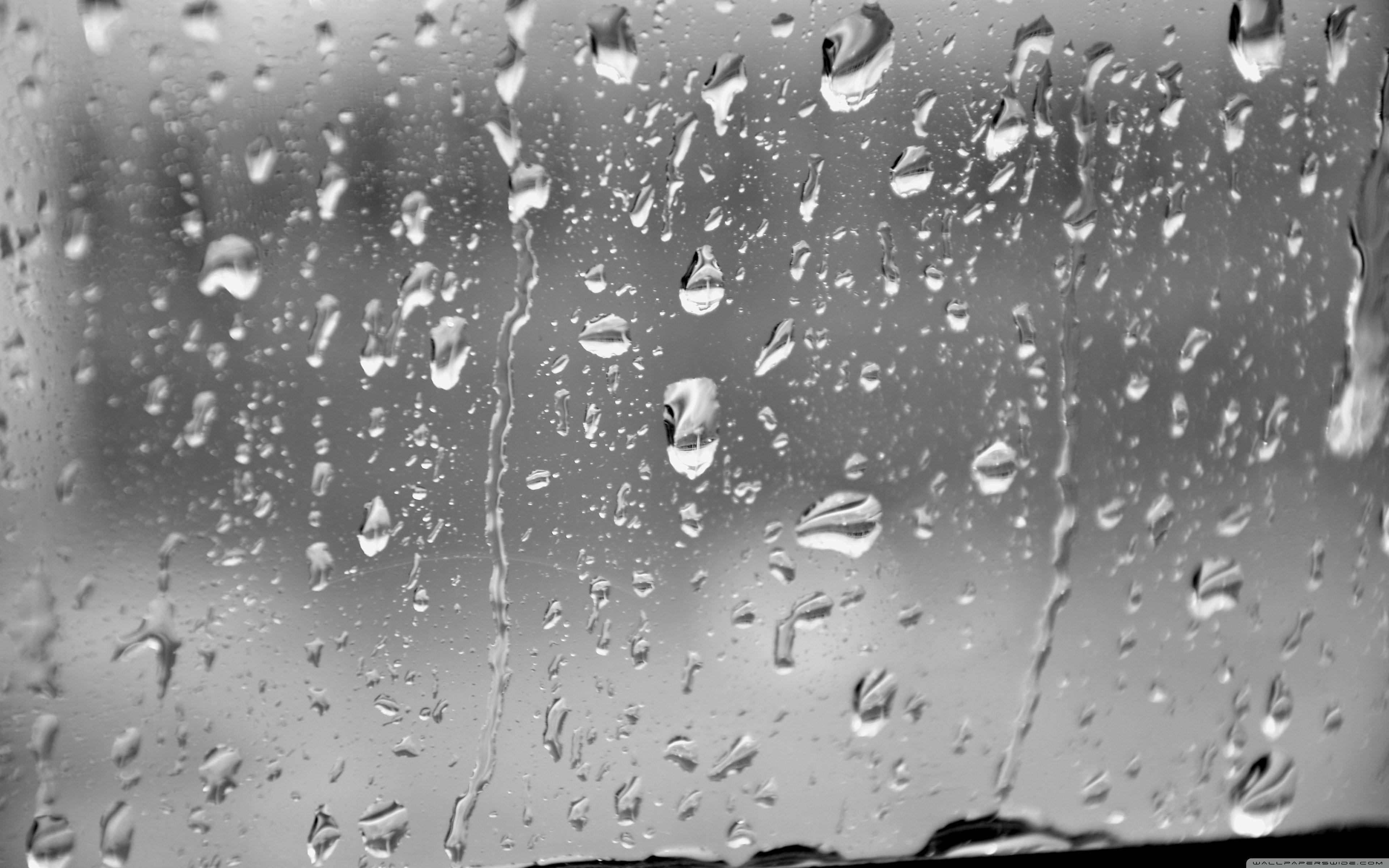 빗방울 라이브 배경 화면 hd,물,하락,이슬비,비,수분