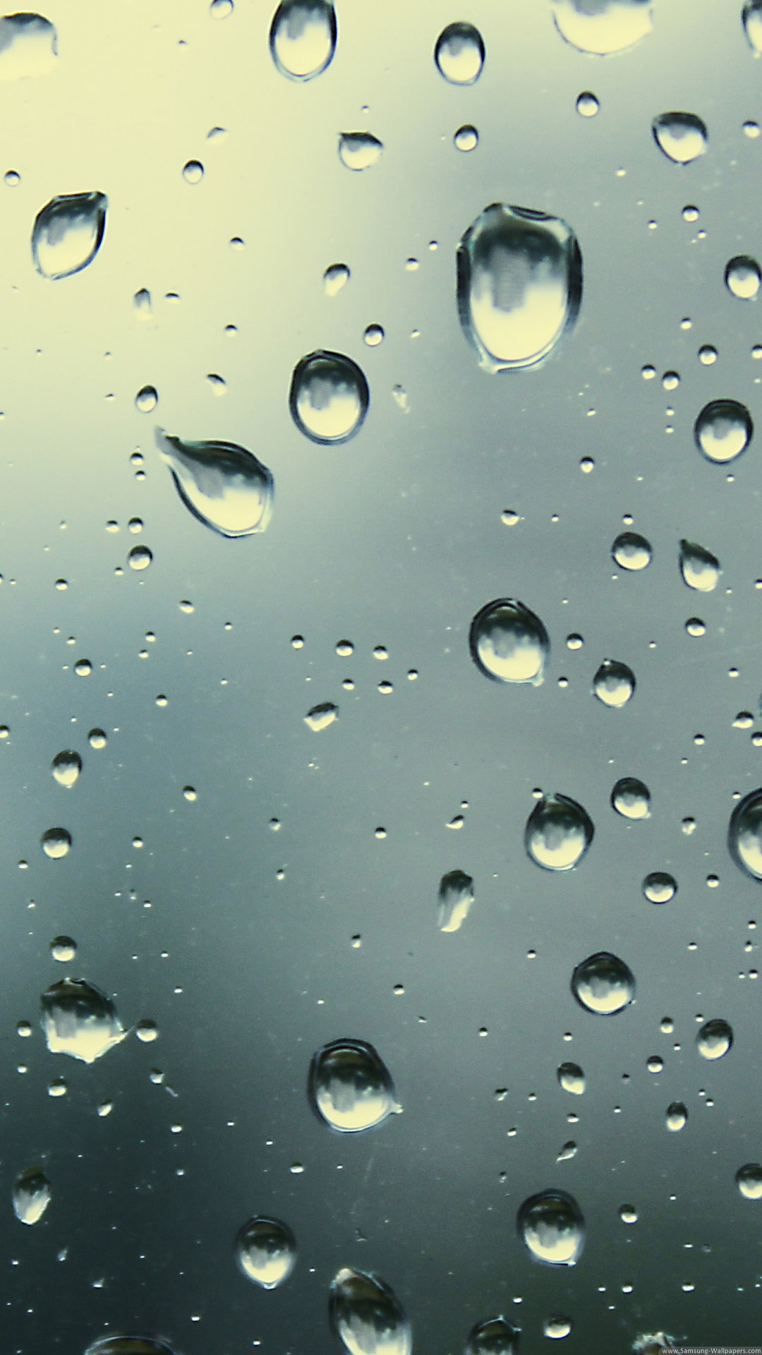 lluvia cae fondos de pantalla en vivo hd,soltar,agua,humedad,rocío,llovizna