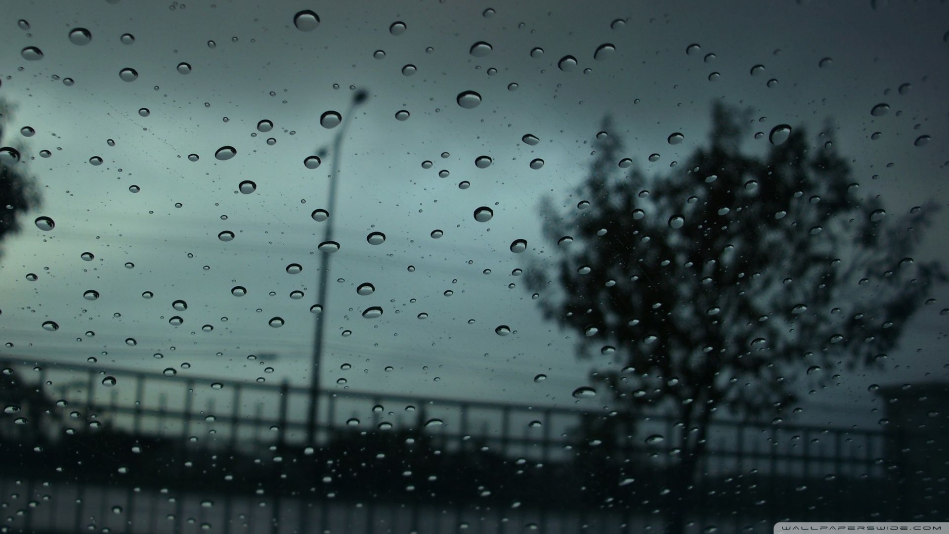 lluvia cae fondos de pantalla en vivo hd,agua,lluvia,llovizna,negro,soltar