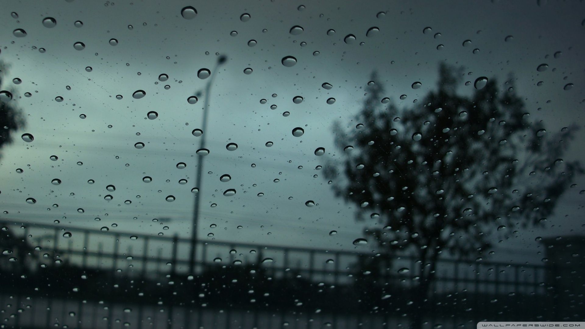 gouttes de pluie fonds d'écran animés hd,l'eau,pluie,bruine,noir,laissez tomber