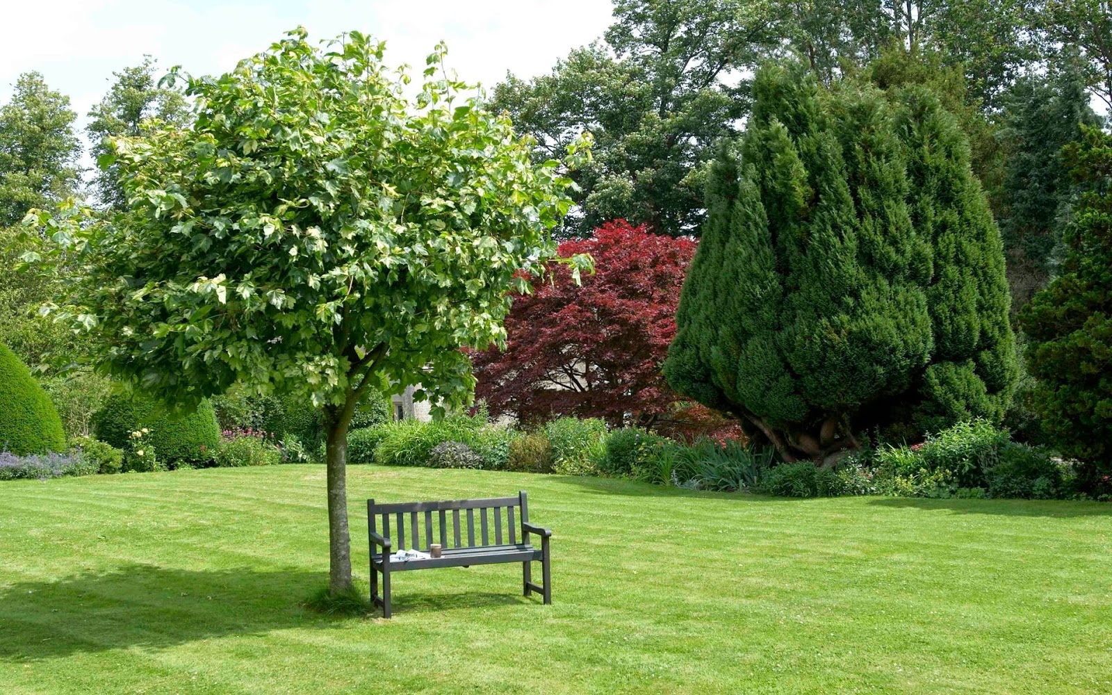 fonds d'écran nature mignons,banc,arbre,banc d'extérieur,jardin,herbe