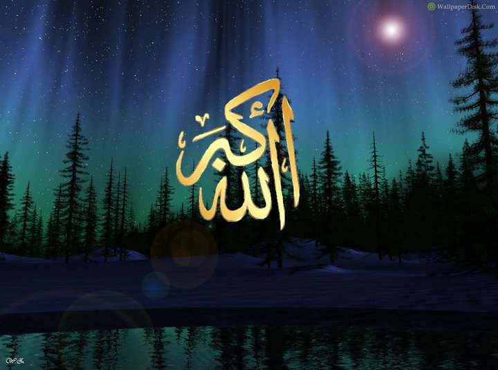 allahu akbar wallpaper,licht,himmel,nacht,natürliche landschaft,baum