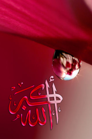 fond d'écran allahu akbar,rouge,texte,police de caractère,rose,macro photographie