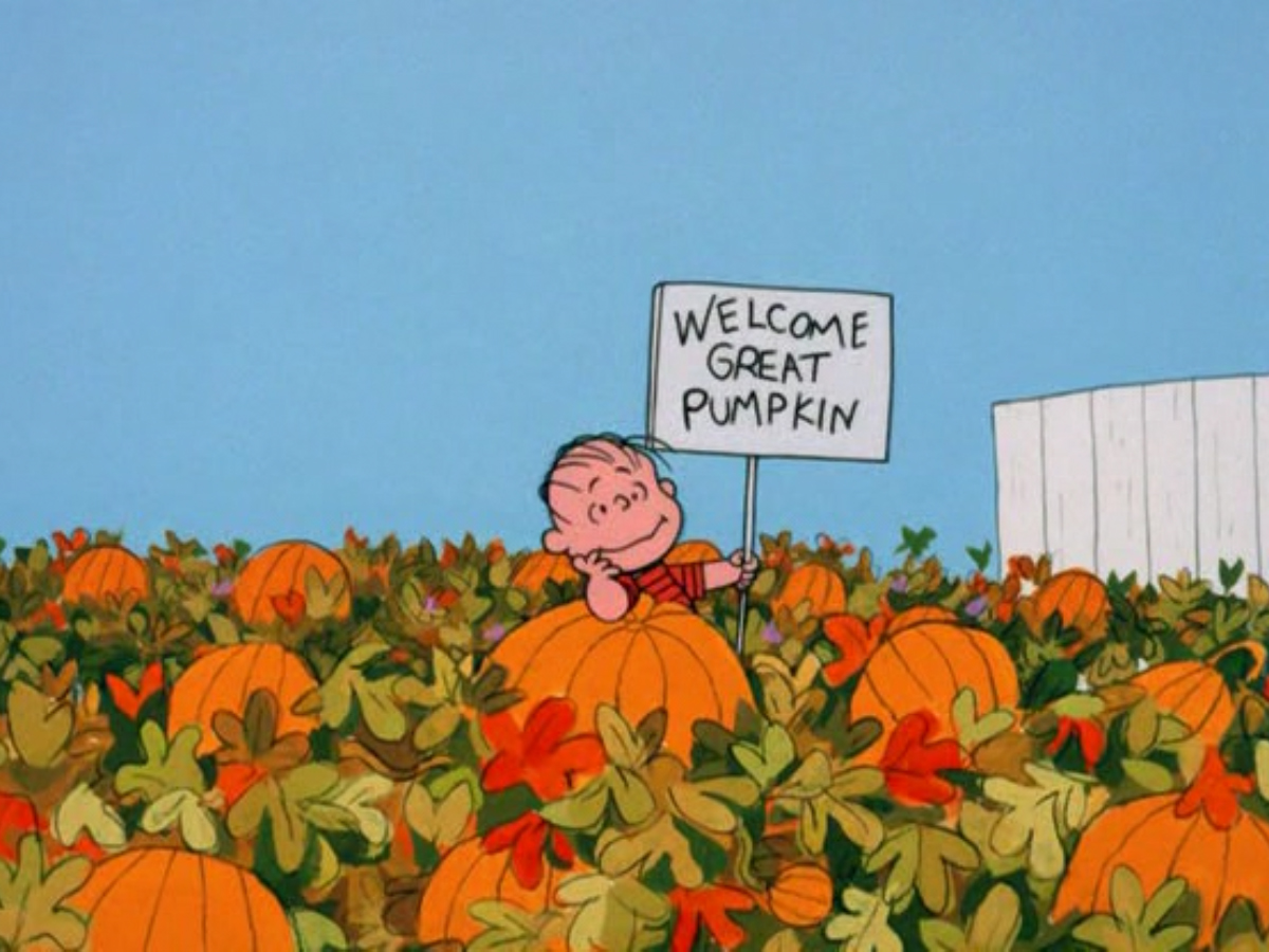 チャーリーの壁紙,オレンジ,工場,花,かぼちゃ,アート