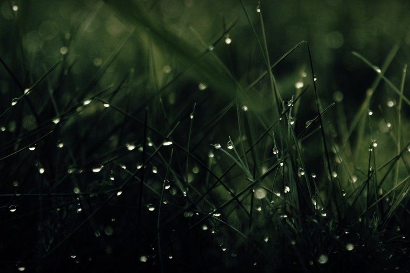 3 cool water drops hd wallpaper,water,nature,black,green,moisture