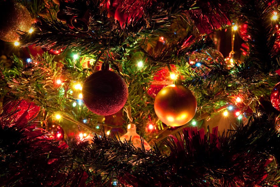 best christmas wallpaper,christmas ornament,christmas tree,christmas,christmas decoration,tree