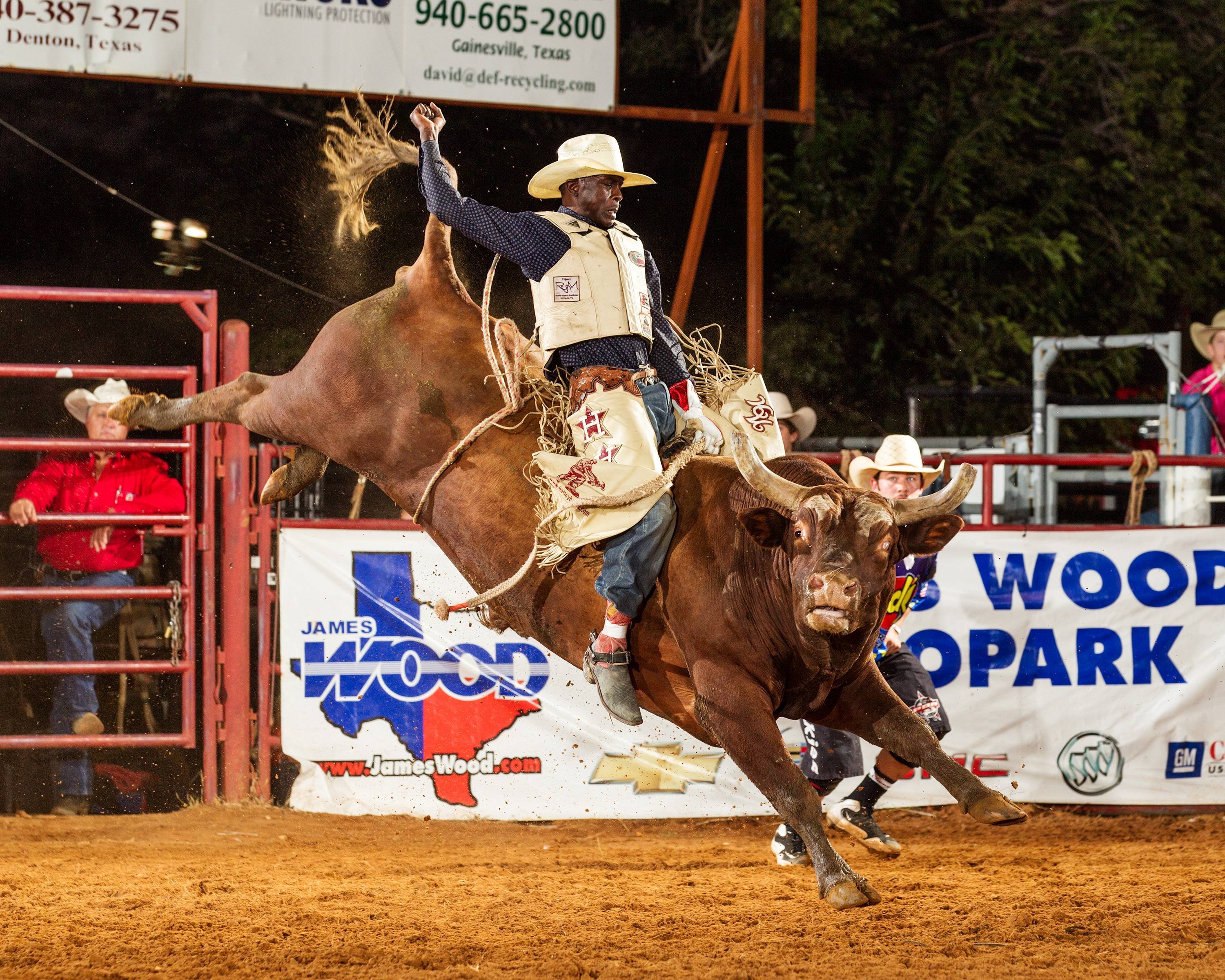 carta da parati di toro,gli sport,briglia,rodeo,toro,cavallo