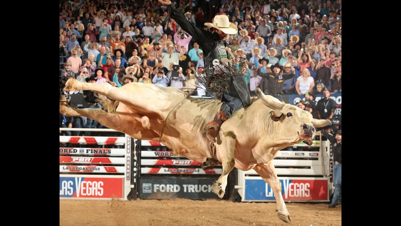 carta da parati di toro,rodeo,toro,cavallo,gli sport,toro a cavallo