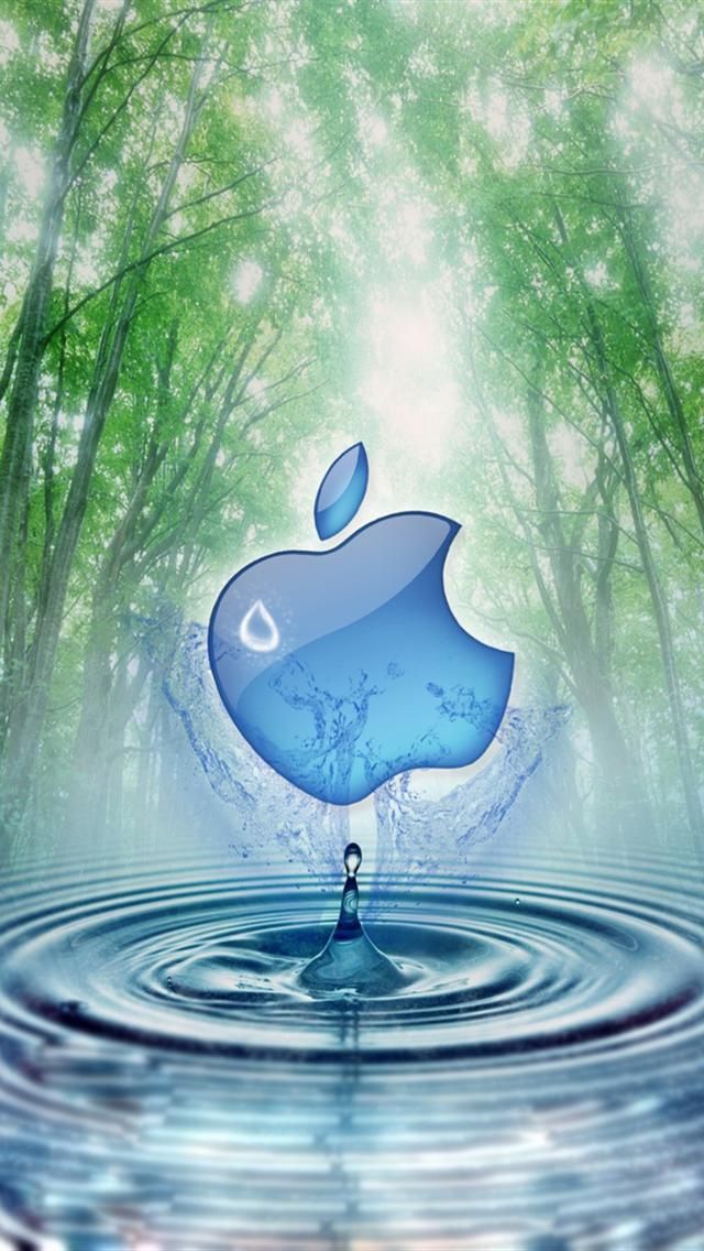 eau fond d'écran hd iphone,l'eau,ressources en eau,laissez tomber,liquide,plante