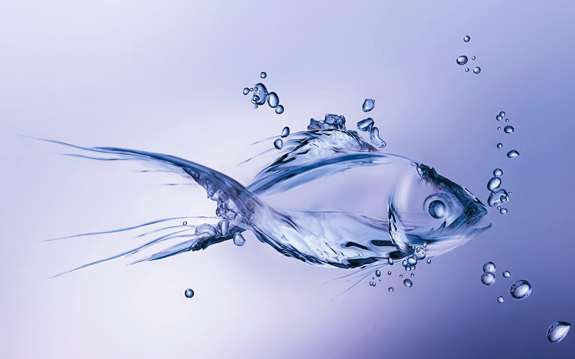 carta da parati goccia d'acqua 3d,acqua,pesce,pesce,liquido,fotografia di still life