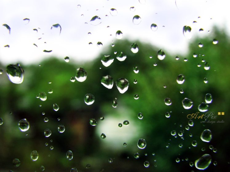 papier peint à eau en verre,vert,l'eau,rosée,humidité,laissez tomber