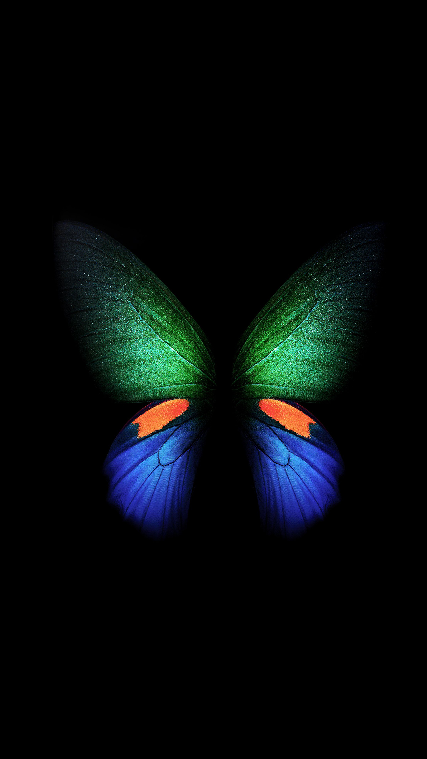 samsung galaxy 4k wallpaper,butterfly,black,insect,blue,moths and butterflies