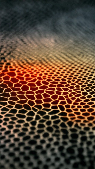 nice wallpaper for samsung,water,orange,pattern,design,close up