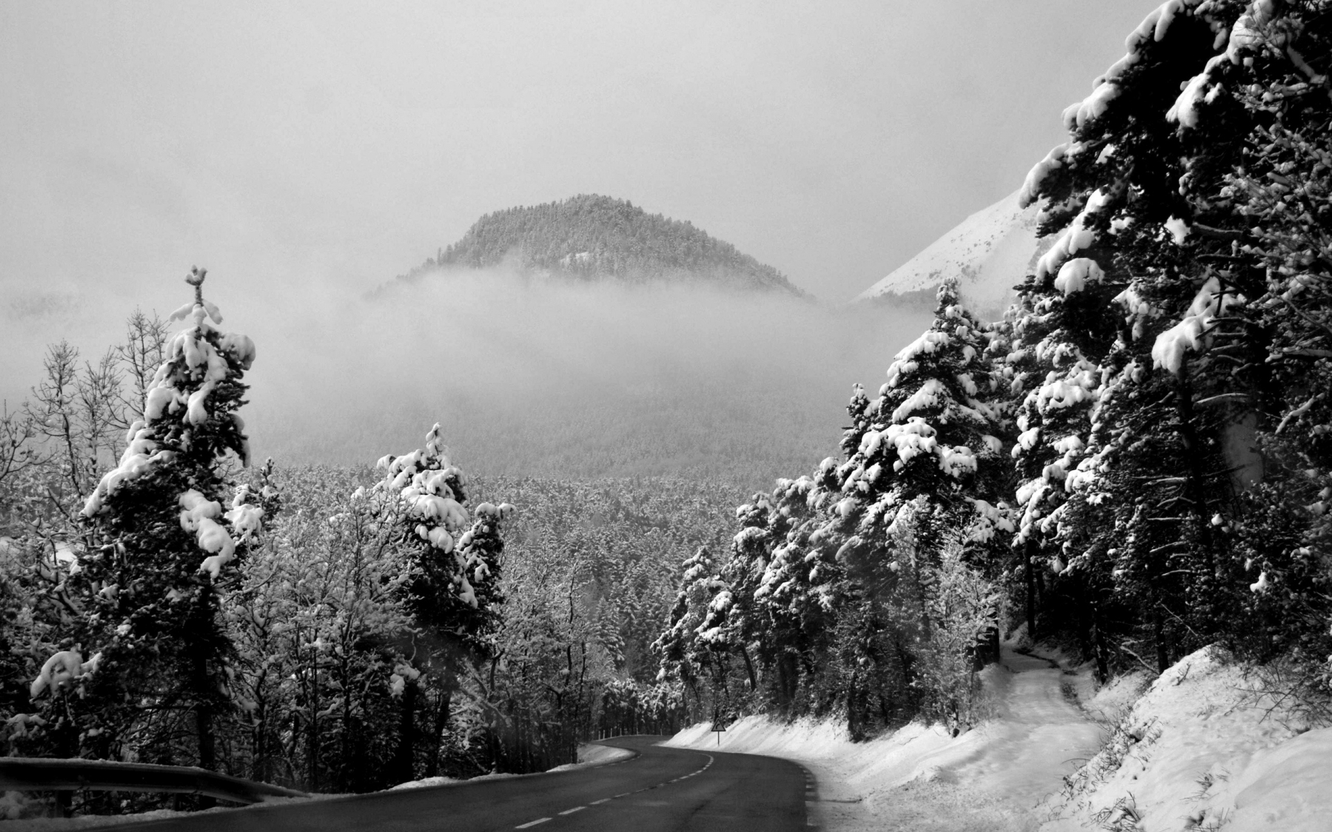 fond d'écran forêt noir et blanc,blanc,noir et blanc,neige,photographie monochrome,montagne