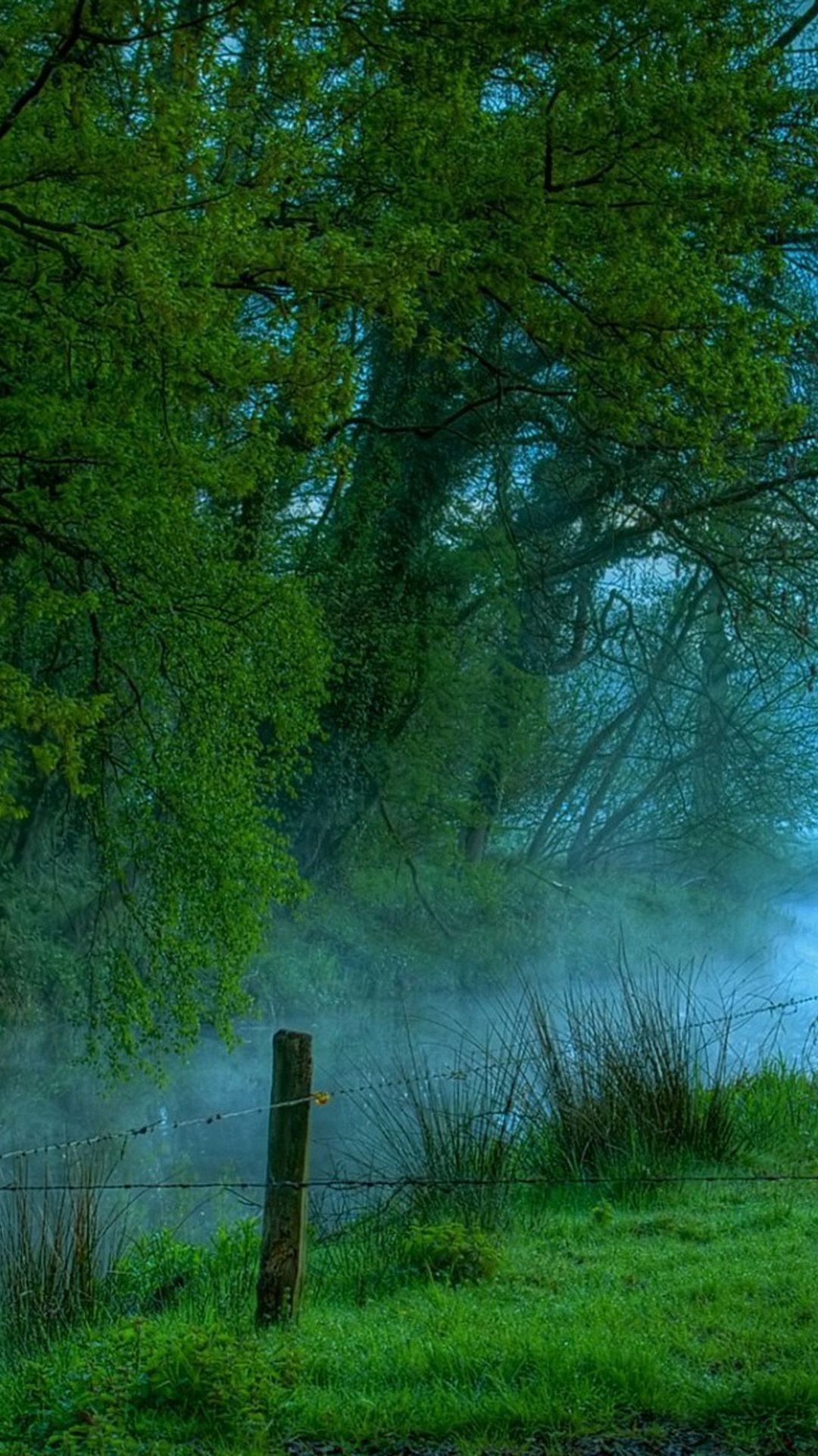 サムスンの自然の壁紙,自然,緑,自然の風景,木,草