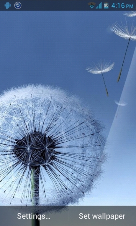 s3 live wallpaper,löwenzahn,löwenzahn,himmel,wasser,riesenrad