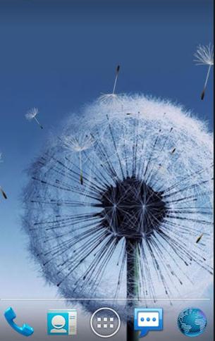 samsung s3 live wallpaper,dandelion,sky,dandelion,screenshot,font