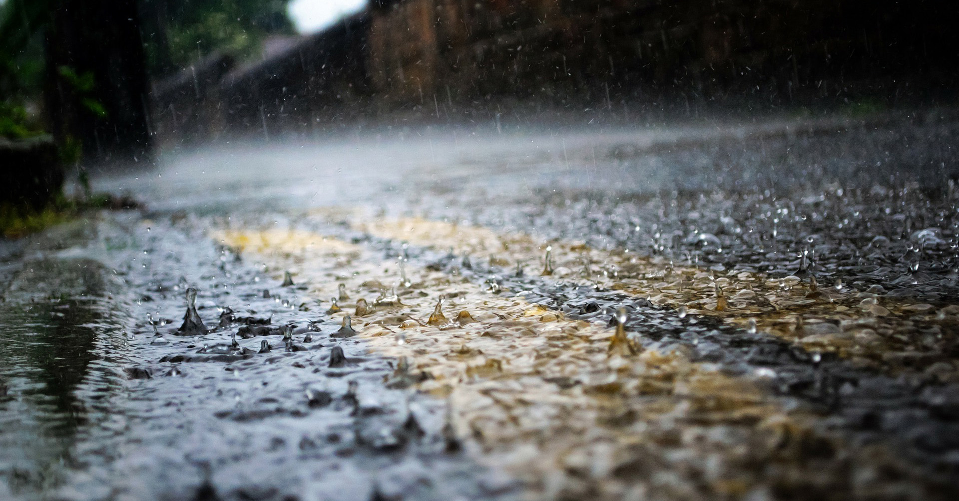 jour de pluie fond d'écran en direct,l'eau,ciel,feuille,pluie,nuit