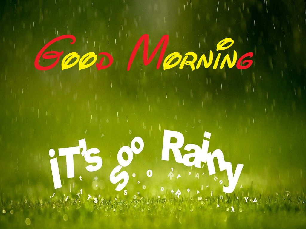 雨のおはよう壁紙,緑,自然,テキスト,フォント,葉