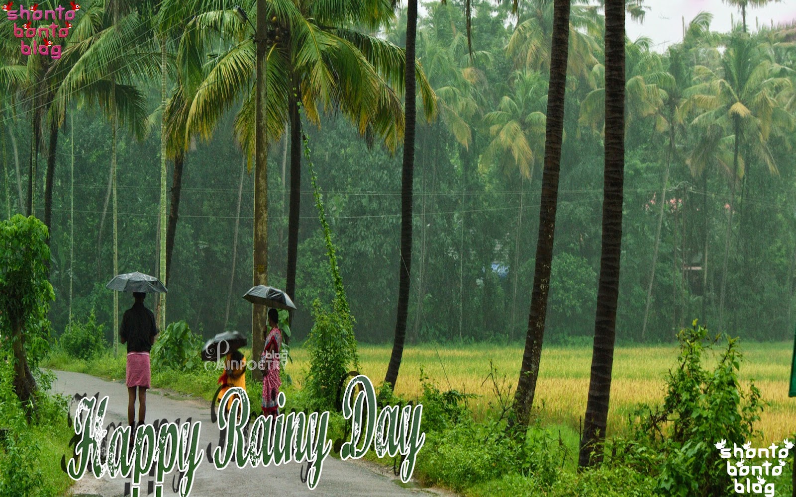 rainy good morning wallpapers,nature,vegetation,tree,natural environment,green
