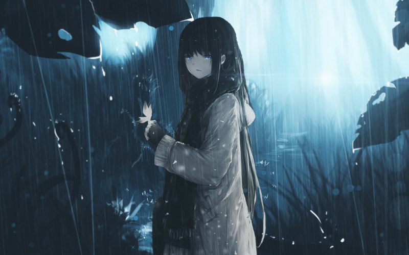 anime rain wallpaper,cabello negro,oscuridad,cg artwork,anime,lluvia