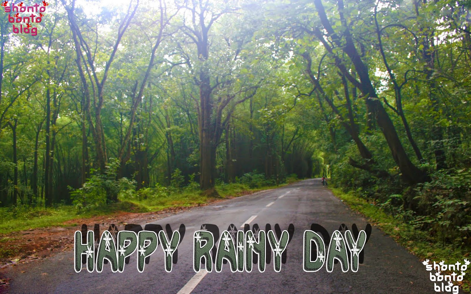 feliz día lluvioso fondo de pantalla,paisaje natural,naturaleza,árbol,la carretera,bosque