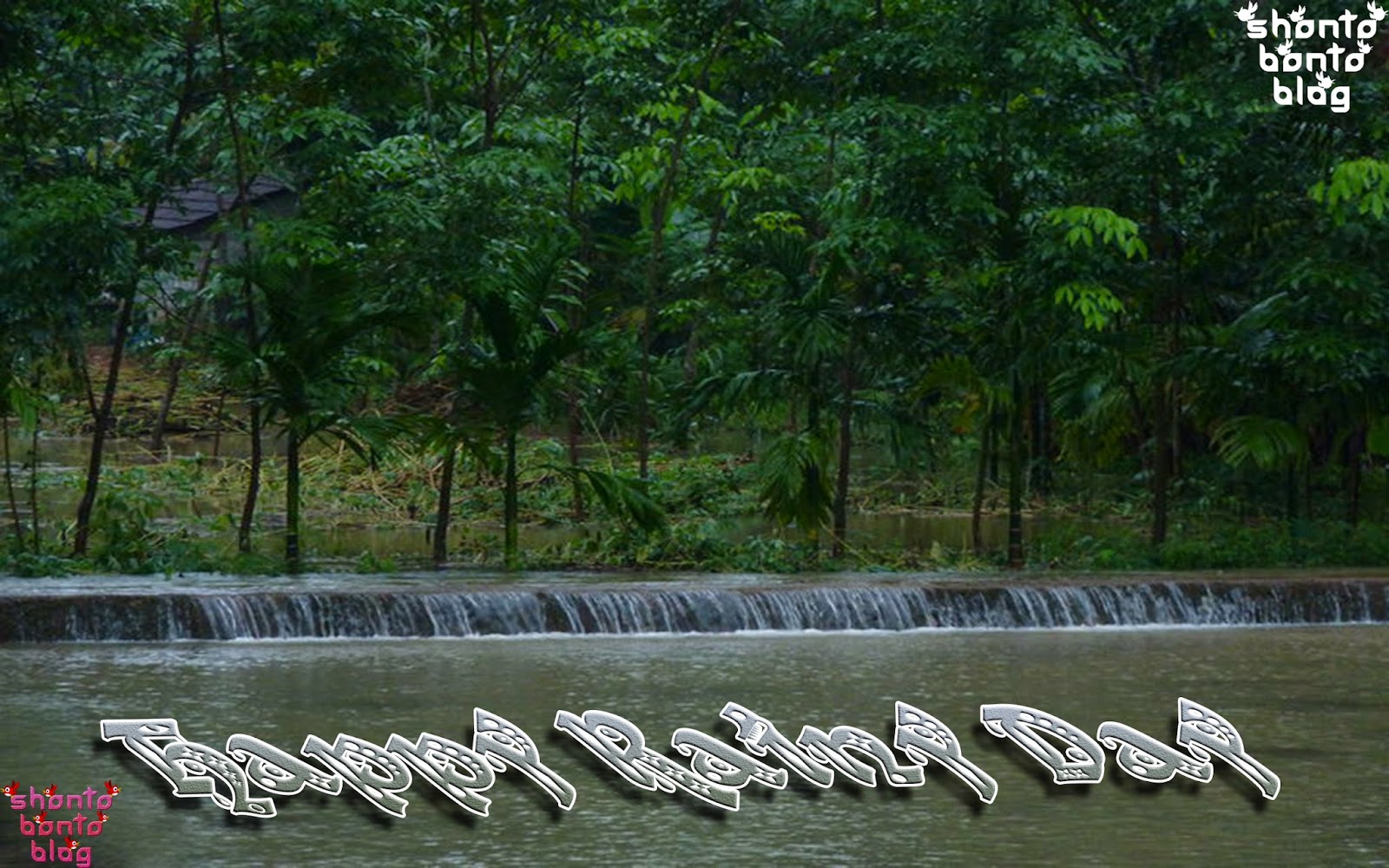 fond d'écran heureux jour de pluie,la nature,paysage naturel,banque,herbe,arbre