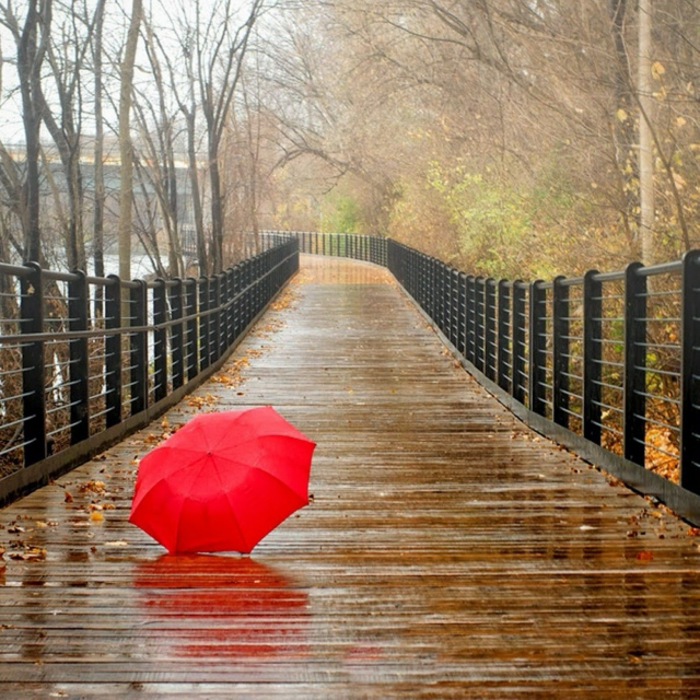 happy regentag wallpaper,natürliche landschaft,rot,betrachtung,wasserweg,brücke