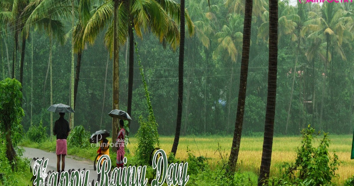 happy rainy day wallpaper,nature,tree,vegetation,natural environment,green