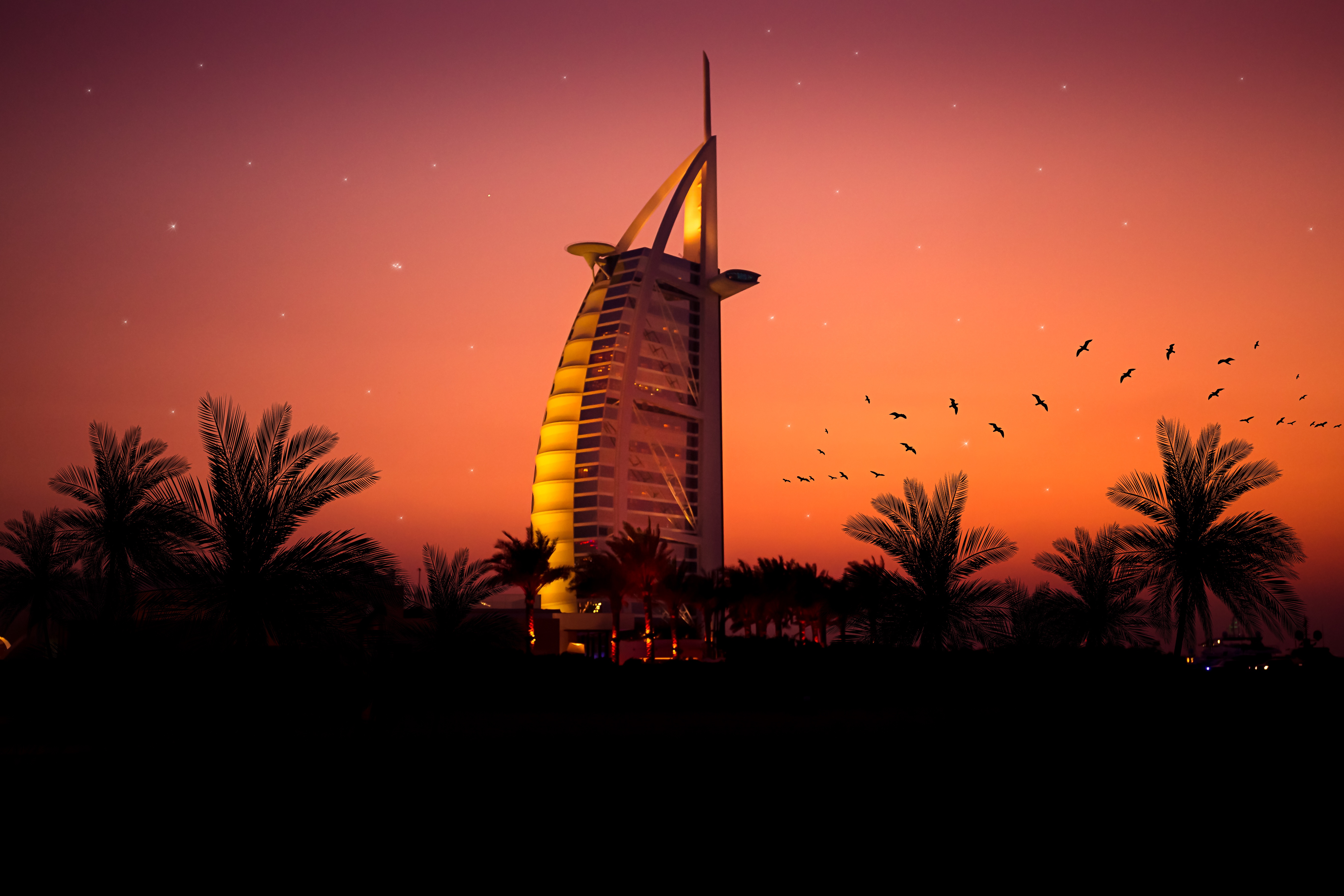 hd araba wallpaper,sky,landmark,palm tree,tree,sunset