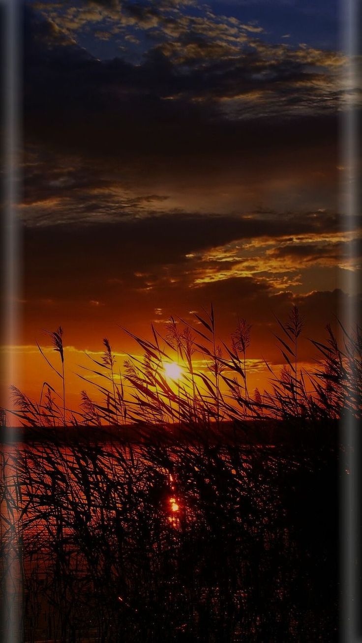 sfondo 5d per dispositivi mobili,cielo,natura,alba,tramonto,cielo rosso al mattino