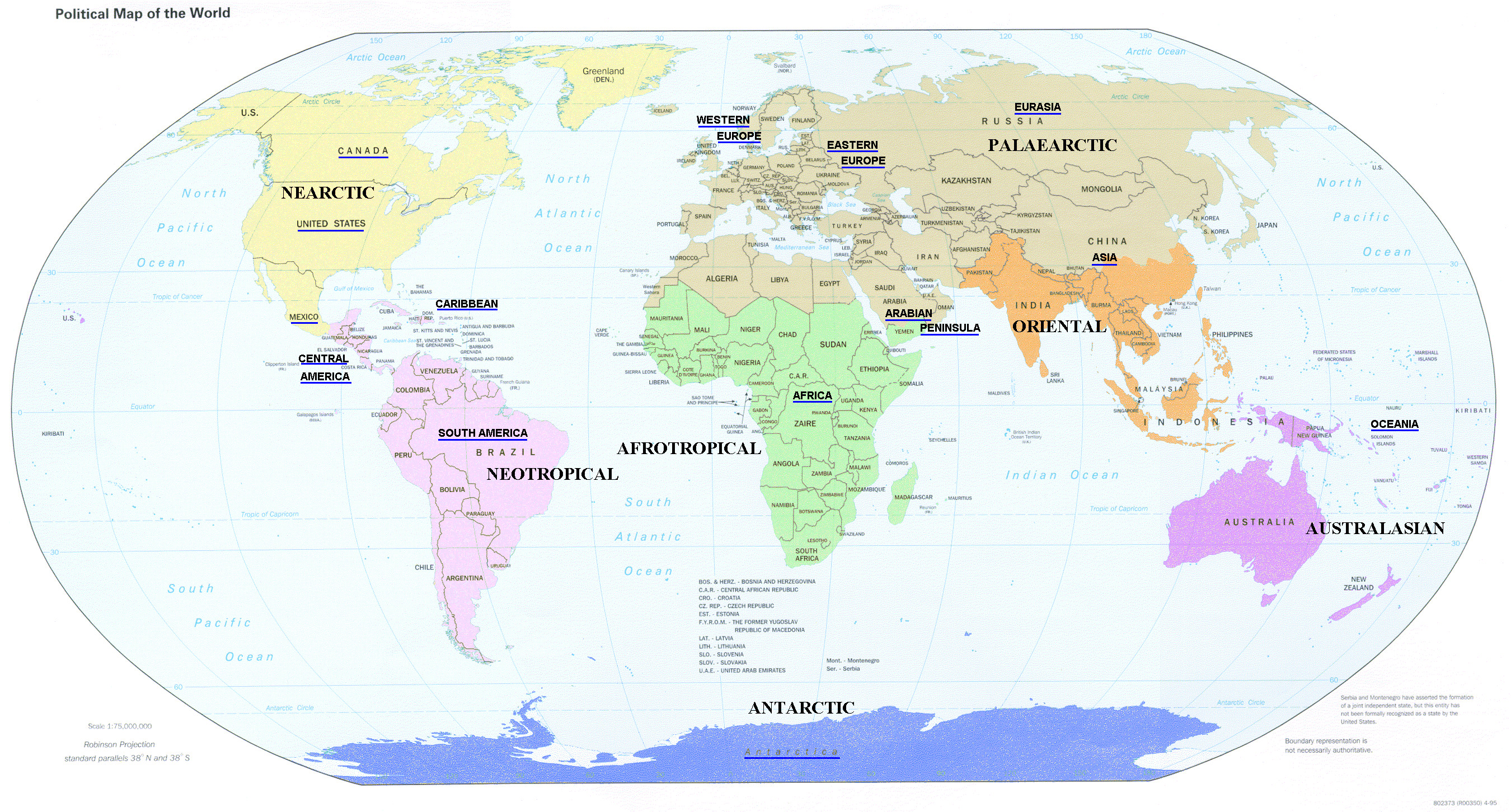 carta da parati mappa africa,carta geografica,mondo,atlante,globo