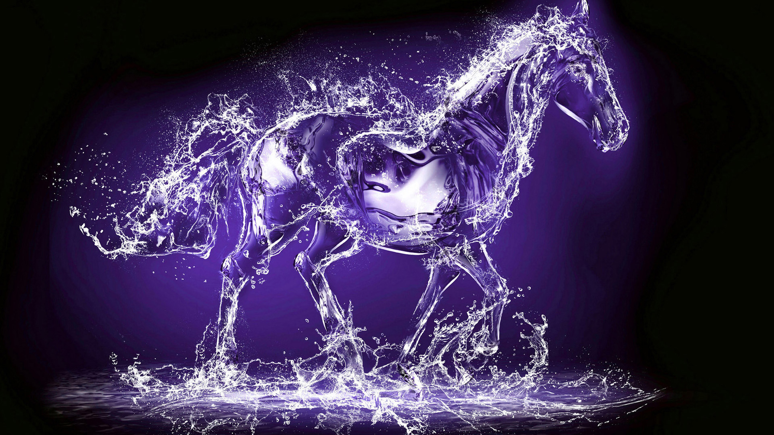 3d horse wallpaper,horse,purple,water,organism,fictional character