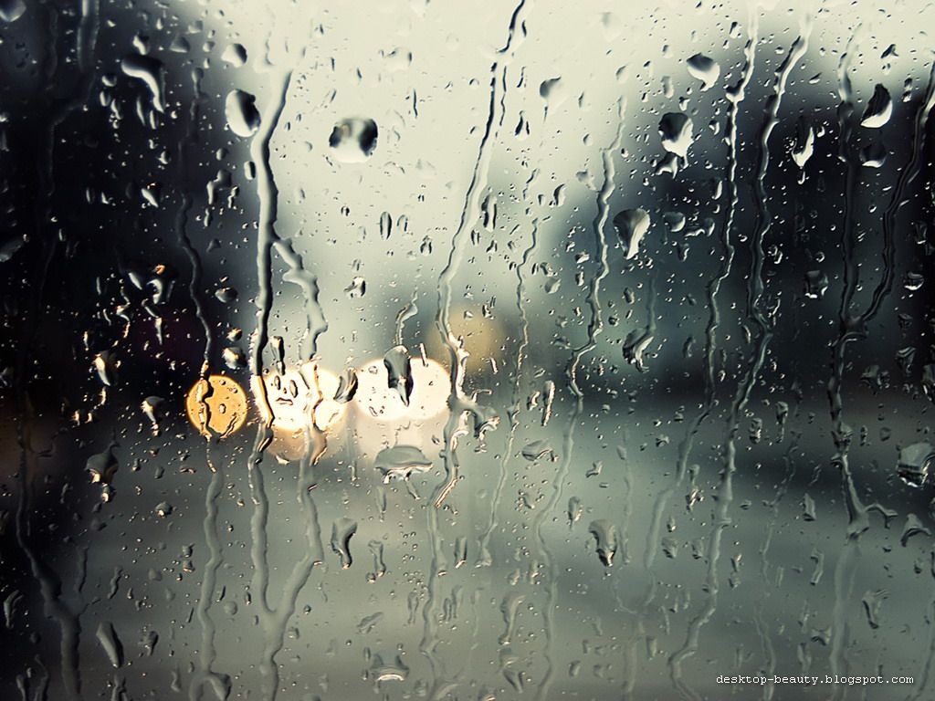 raning wallpaper,water,rain,drizzle,drop,precipitation