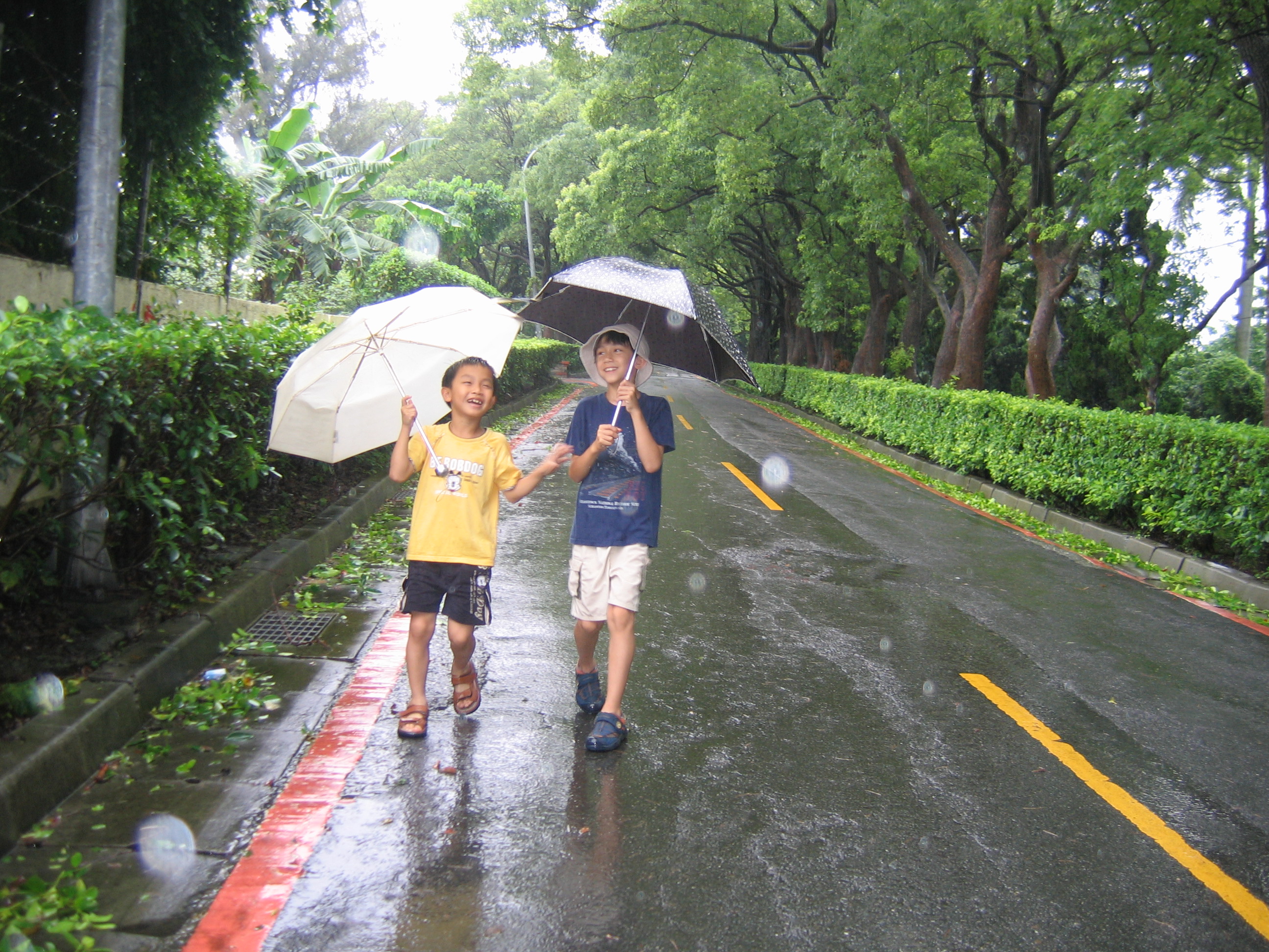 비오는 날씨 배경 화면,비,우산,도로,여가,보행