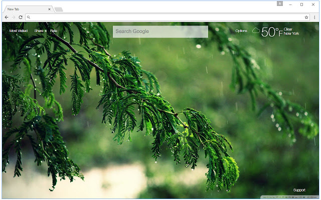 야 무르 벽지,자연,나무,초록,식물,그래픽 소프트웨어