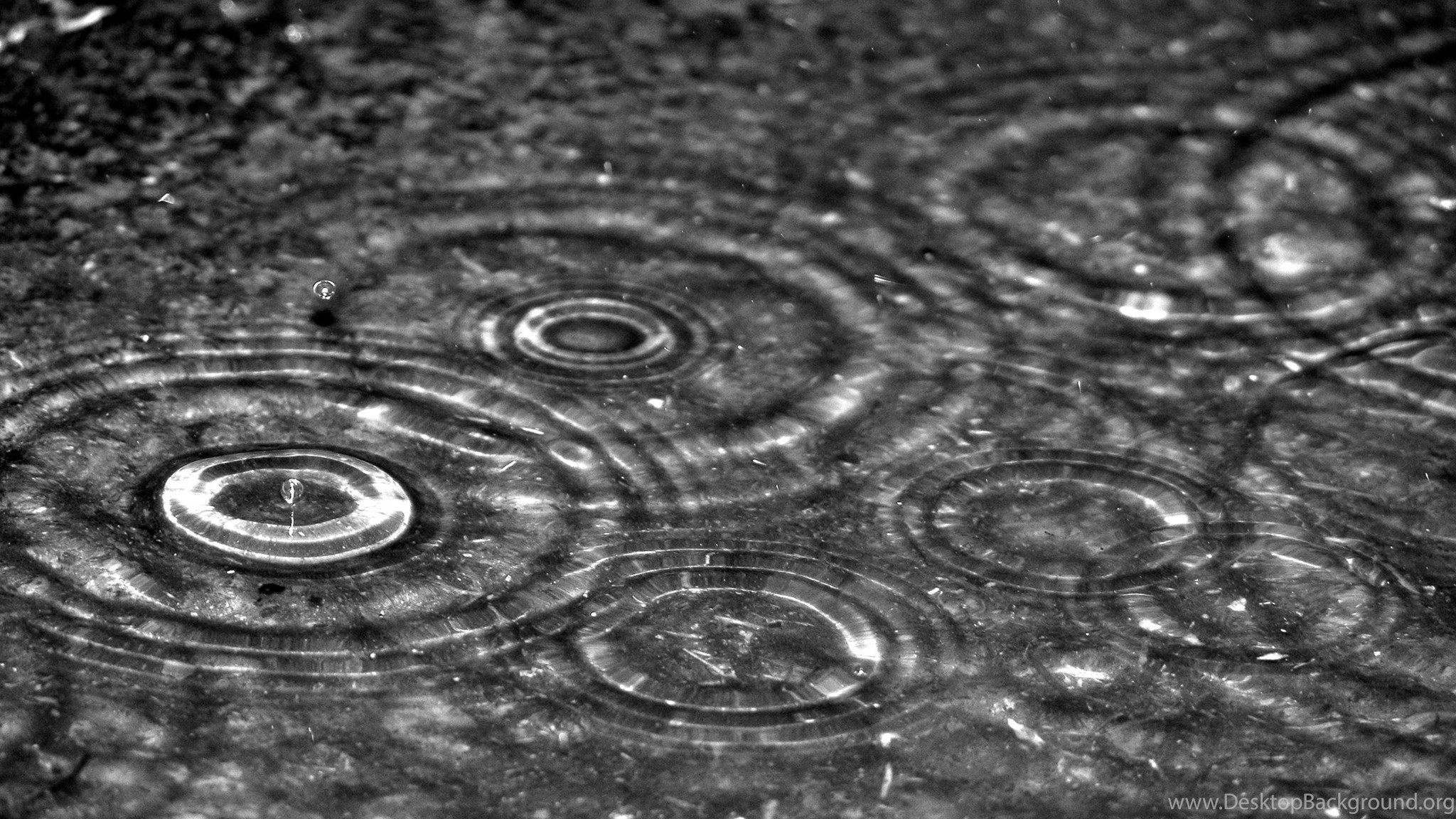 yağmur wallpaper,water,drop,black and white,monochrome photography,monochrome