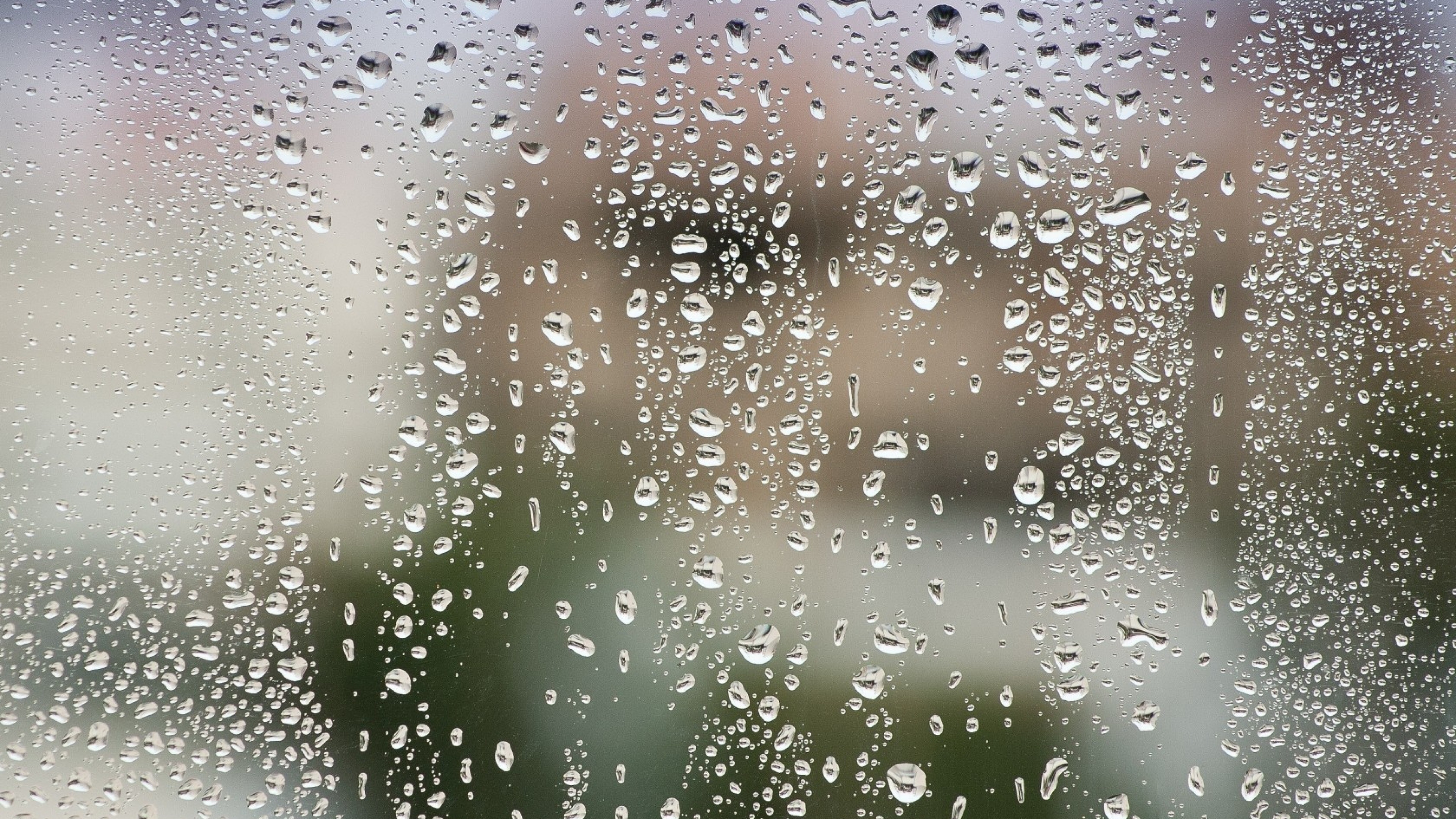 バッシュ壁紙ダウンロード,水,霧雨,落とす,雨,水分