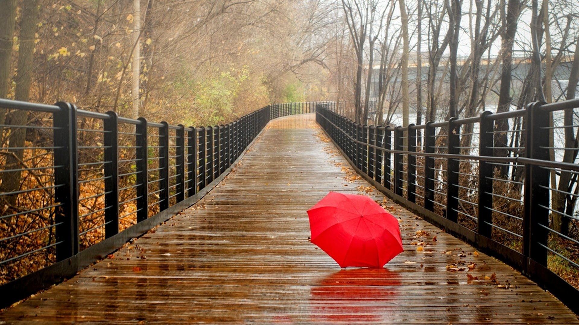 regenzeit hd wallpaper,natürliche landschaft,rot,liebe,brücke,holz