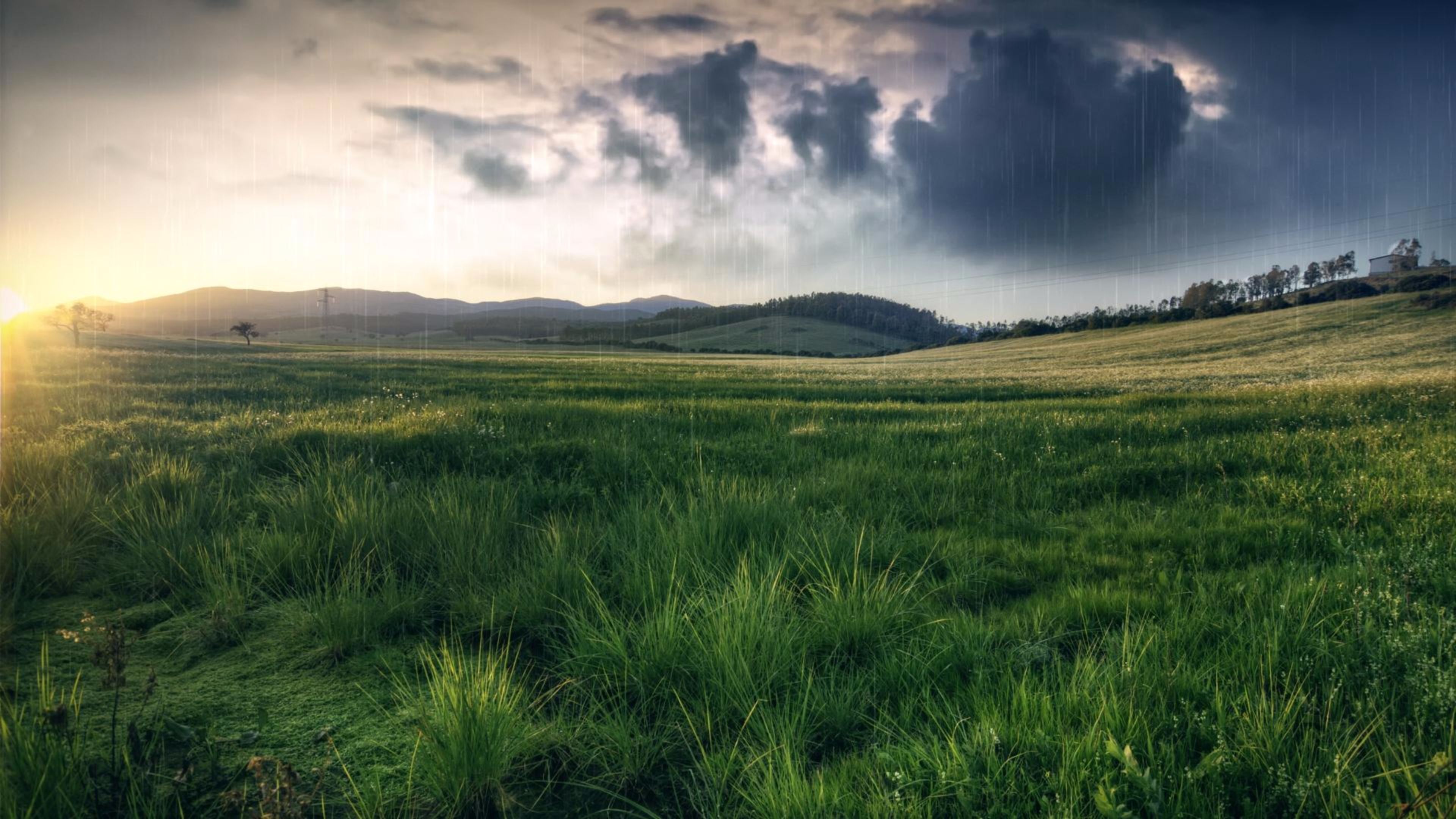 雨のhdの壁紙1080p,草原,自然,自然の風景,空,平野